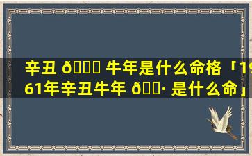 辛丑 🐛 牛年是什么命格「1961年辛丑牛年 🕷 是什么命」